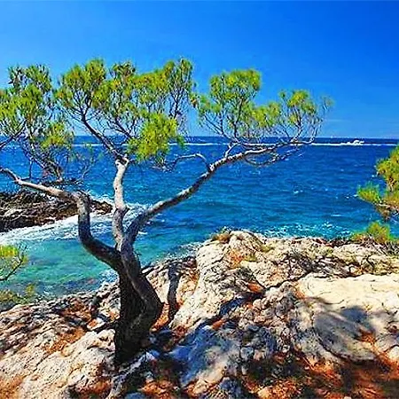 Sea&sea * Rovinj