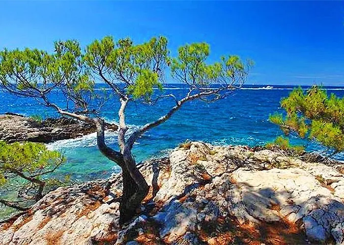Sea&sea * Rovinj